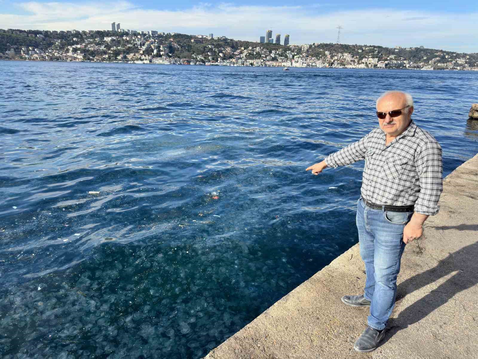 Üsküdar’da hayrete düşüren görüntü: Binlercesi kıyıya vurdu 5 uskudarda hayrete dusuren goruntu binlercesi kiyiya vurdu 1 tI7PAA24