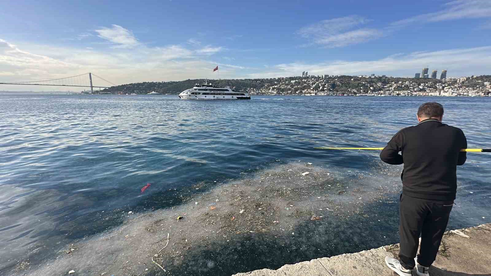 Üsküdar’da hayrete düşüren görüntü: Binlercesi kıyıya vurdu 8 uskudarda hayrete dusuren goruntu binlercesi kiyiya vurdu 4 z46gFNFa