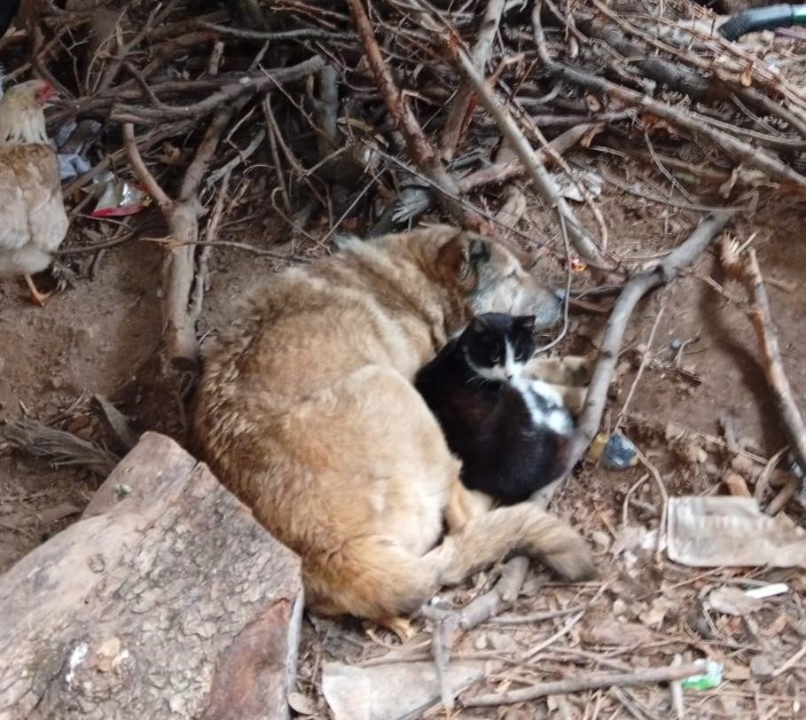featured