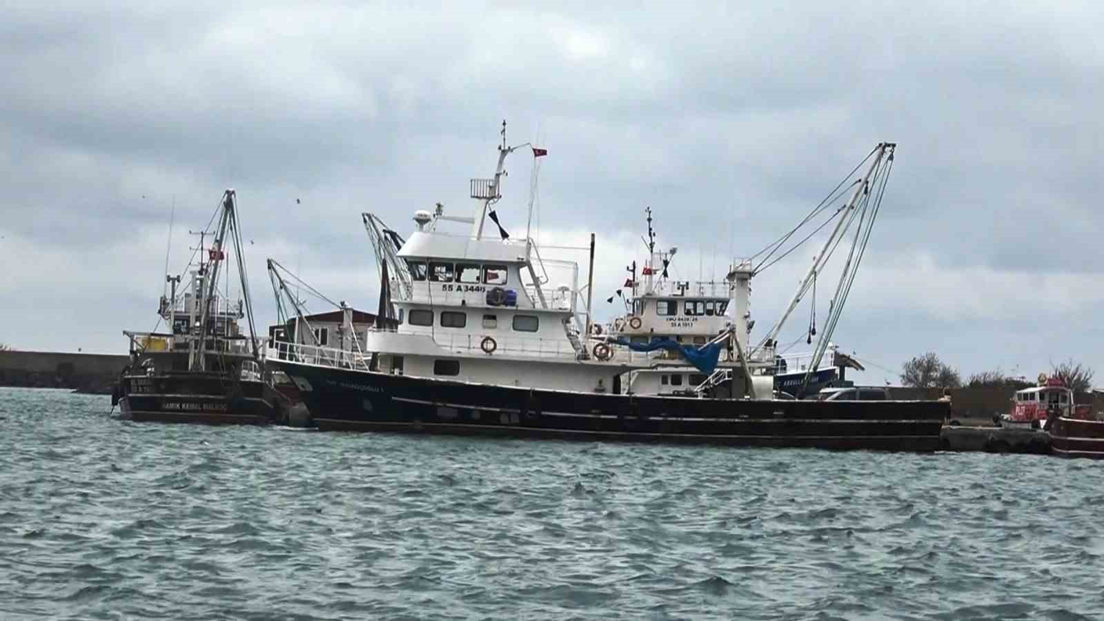 uyanik lufer karadeniz zekasini kullandi denizlerde bol ama aglara girmiyor 2 GFngiZrR