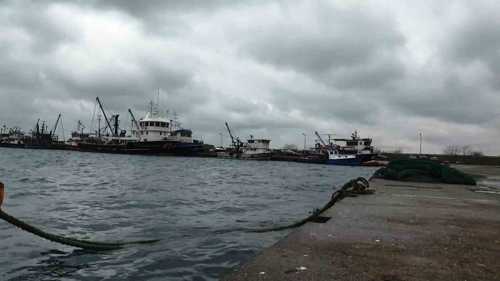 uyanik lufer karadeniz zekasini kullandi denizlerde bol ama aglara girmiyor 3 V6P3uCKs