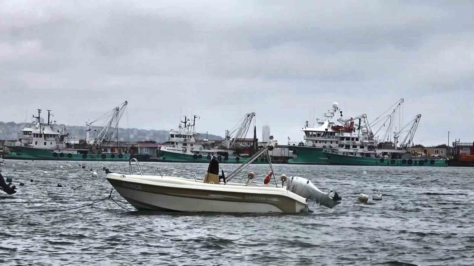 uyanik lufer karadeniz zekasini kullandi denizlerde bol ama aglara girmiyor 4 qgkFklmB
