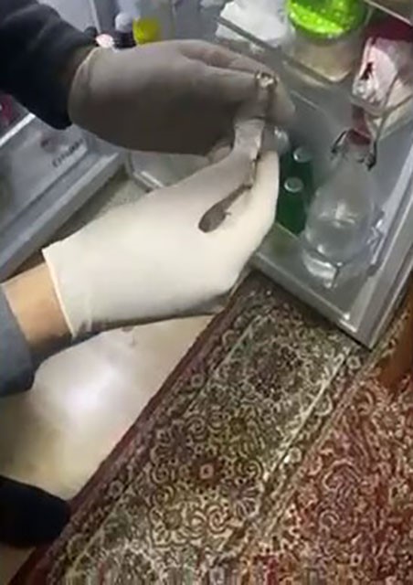 uyusturucu cetesine darbe 1i avukat 3 kisi tutuklandi 4 XLN3LMbz