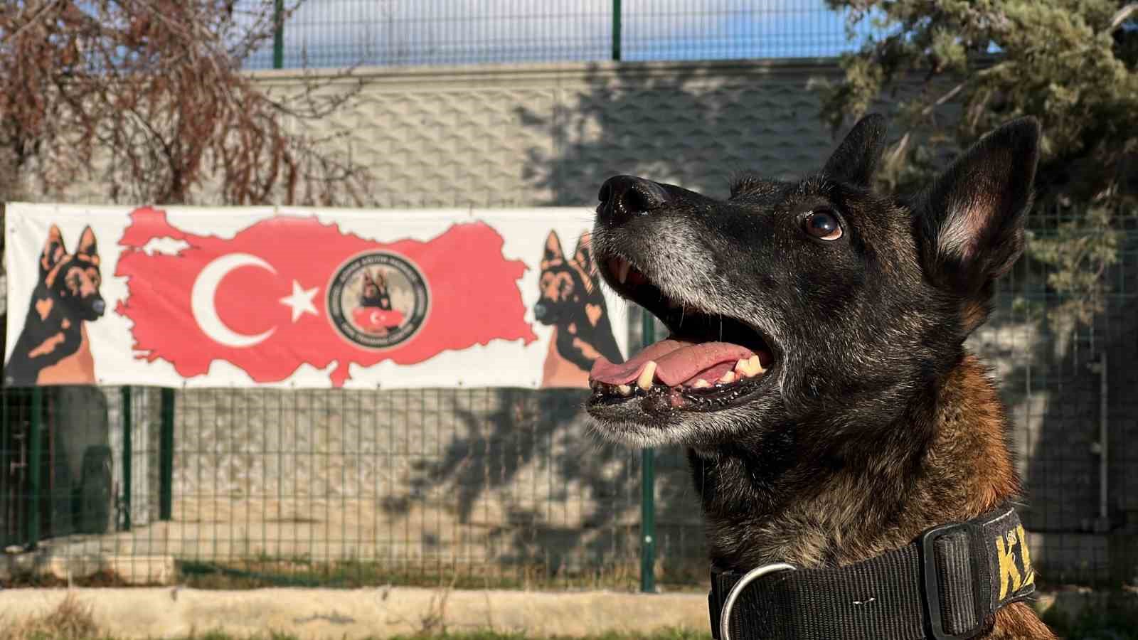 Uyuşturucu tacirlerinin ‘Bulamazlar’ dedikleri zulaları burunları ile patlatıyorlar 4 uyusturucu tacirlerinin bulamazlar dedikleri zulalari burunlari ile patlatiyorlar 0 JaRmgs4Z