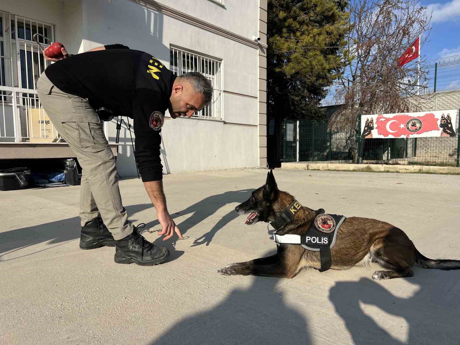 Uyuşturucu tacirlerinin ‘Bulamazlar’ dedikleri zulaları burunları ile patlatıyorlar 5 uyusturucu tacirlerinin bulamazlar dedikleri zulalari burunlari ile patlatiyorlar 1 e7n4EY9Q