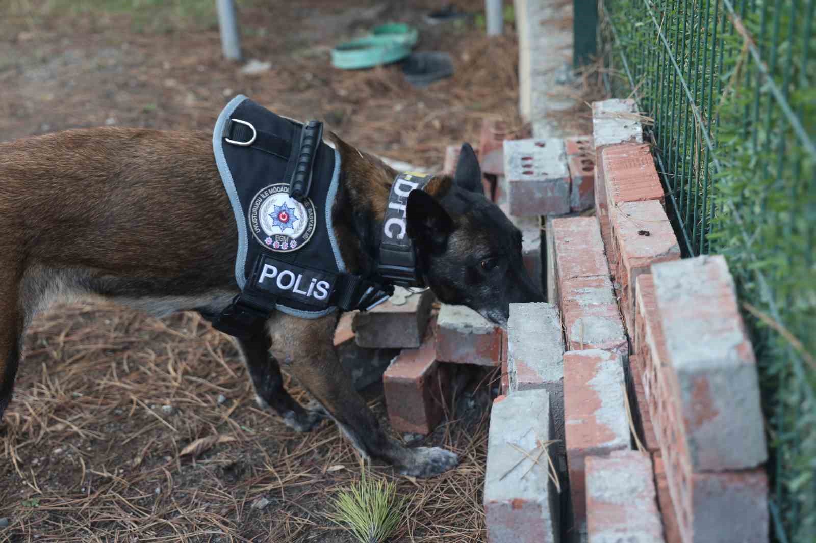 Uyuşturucu tacirlerinin ‘Bulamazlar’ dedikleri zulaları burunları ile patlatıyorlar 8 uyusturucu tacirlerinin bulamazlar dedikleri zulalari burunlari ile patlatiyorlar 4 9H8MdANK
