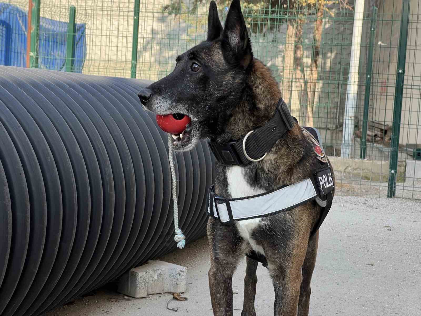 Uyuşturucu tacirlerinin ‘Bulamazlar’ dedikleri zulaları burunları ile patlatıyorlar 9 uyusturucu tacirlerinin bulamazlar dedikleri zulalari burunlari ile patlatiyorlar 5 dvbWBWcS