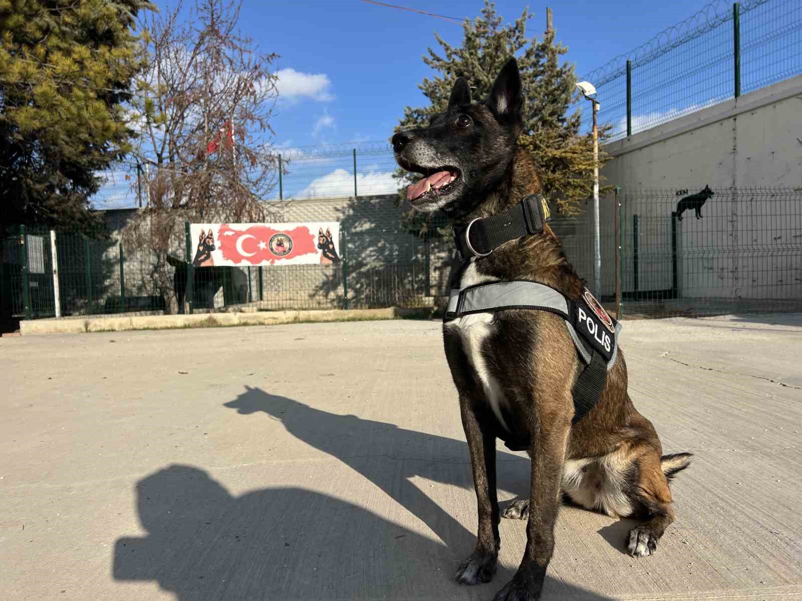 Uyuşturucu tacirlerinin ‘Bulamazlar’ dedikleri zulaları burunları ile patlatıyorlar 10 uyusturucu tacirlerinin bulamazlar dedikleri zulalari burunlari ile patlatiyorlar 6