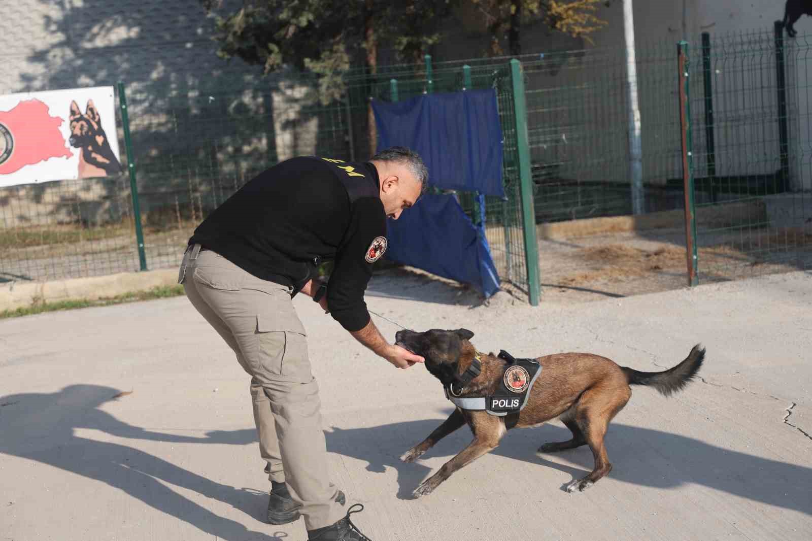 Uyuşturucu tacirlerinin ‘Bulamazlar’ dedikleri zulaları burunları ile patlatıyorlar 11 uyusturucu tacirlerinin bulamazlar dedikleri zulalari burunlari ile patlatiyorlar 7 zvpBwyFy