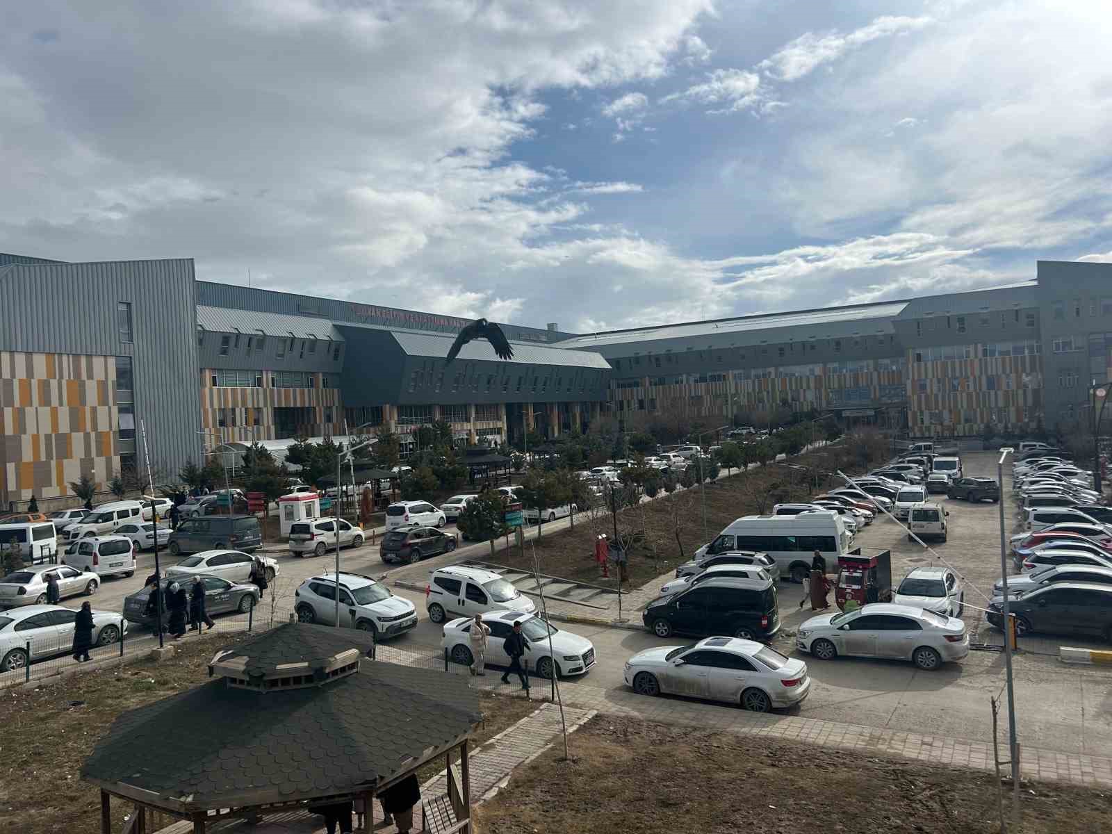 Uzman Dr. Dinç: "Erken tanı konulan çocukluk çağı kanserlerinde başarı oranı yüksek" 5 uzman dr dinc erken tani konulan cocukluk cagi kanserlerinde basari orani yuksek 1 2TVfKElT