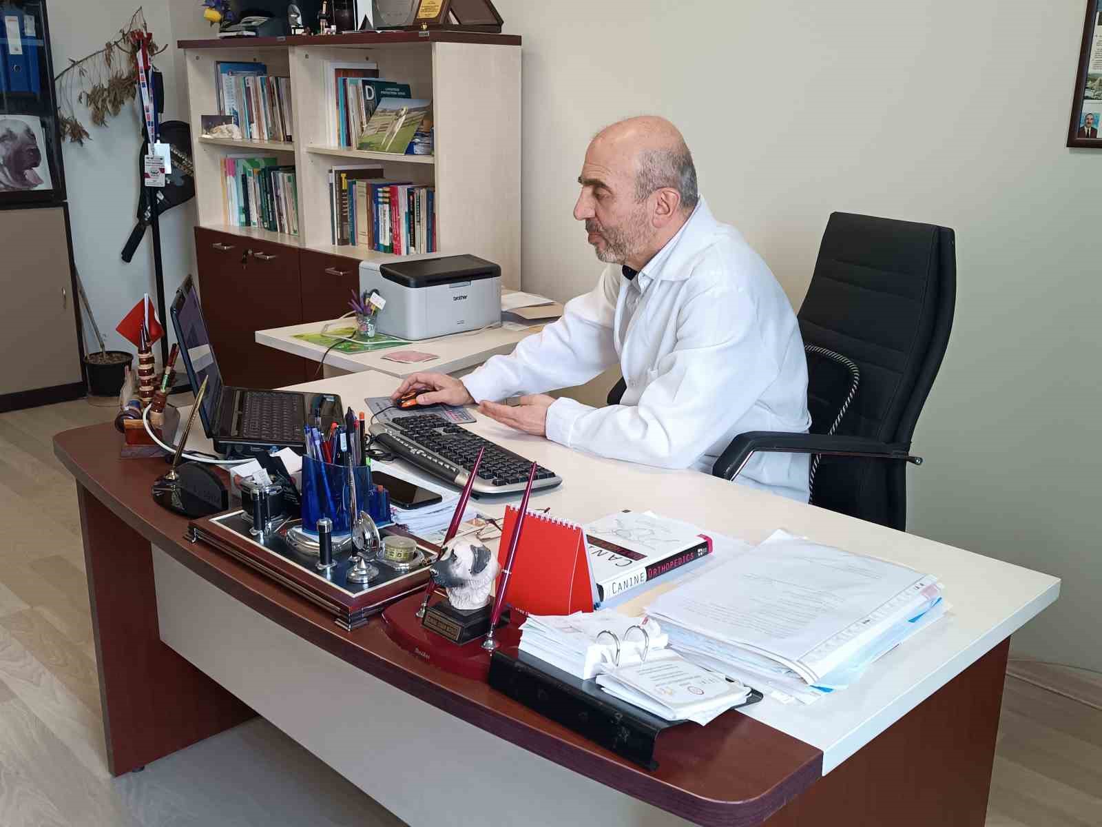 Uzman tavsiyesi: "Ayıyla karşılaşınca kaçmayın, ondan büyük görünmeye çalışın" 6 uzman tavsiyesi ayiyla karsilasinca kacmayin ondan buyuk gorunmeye calisin 2 QvP3h3tl