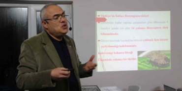 uzmani-kahverengi-kokarca-icin-tarih-verdi-2030-yilindan-itibaren-gundemden-cikmaya-baslayacak-z8X2Eg9A.jpg