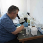 uzmanindan-cekirge-aciklamasi-1-ay-icerisinde-kaybolacaklardir-yg2mmS1n.jpg