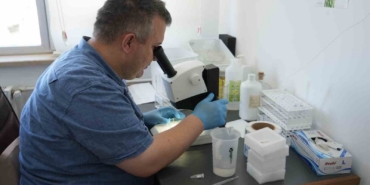 uzmanindan-cekirge-aciklamasi-1-ay-icerisinde-kaybolacaklardir-yg2mmS1n.jpg