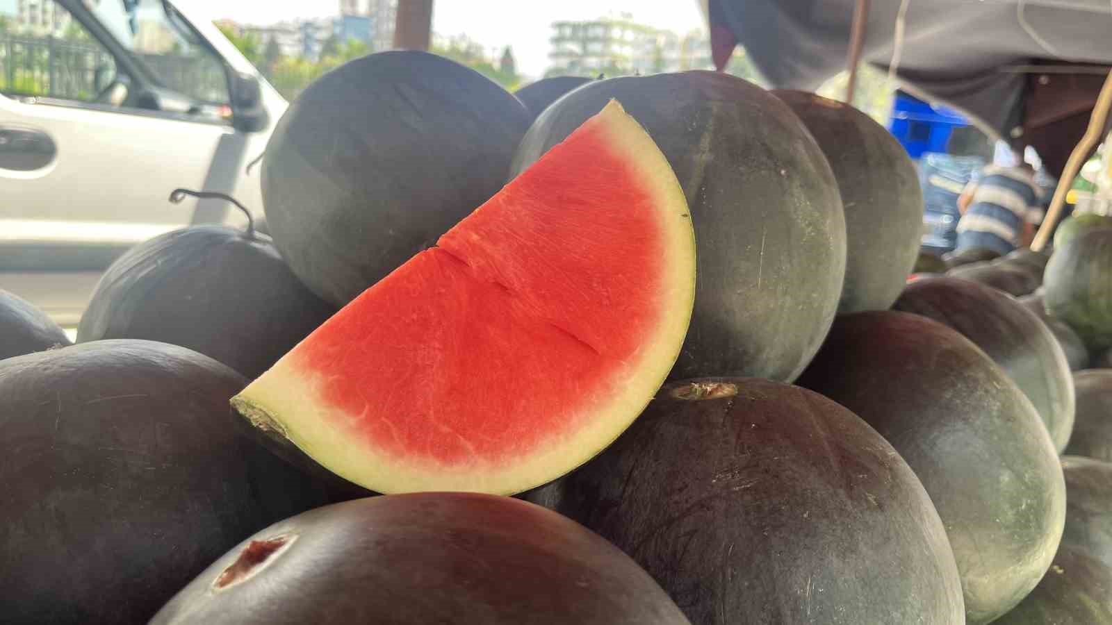 uzmanindan iyi karpuz nasil secilir tavsiyesi karpuza vurmak eskide kaldi 8 ghV1qQd8