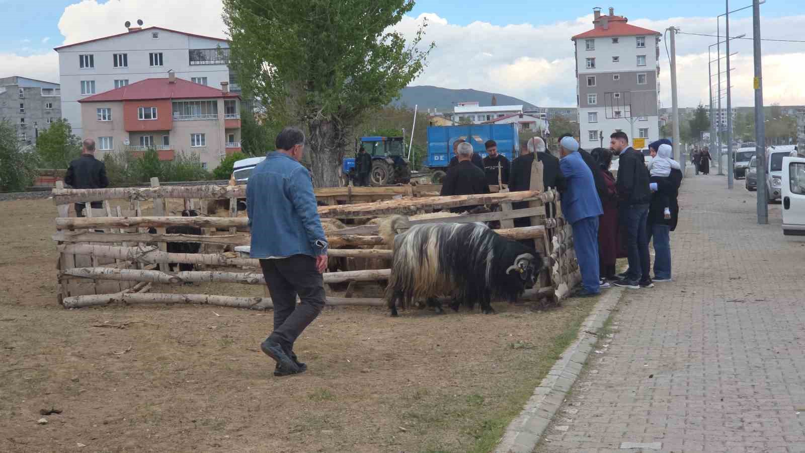 uzmanindan kurban bayrami oncesi uyarilar 1 hlTTWwak