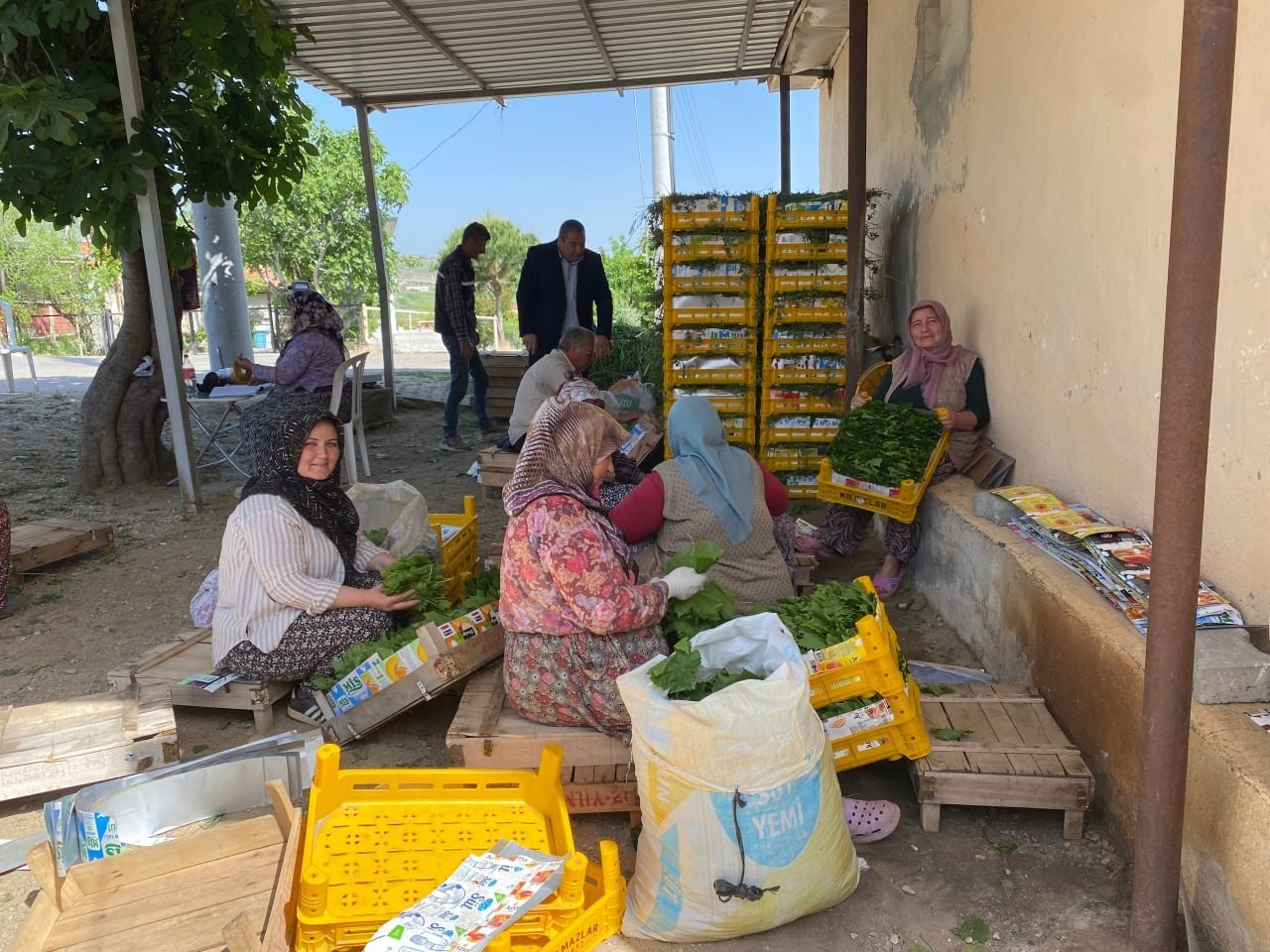 uzumden once yaprak kazandirdi 4 CmF8g2X5