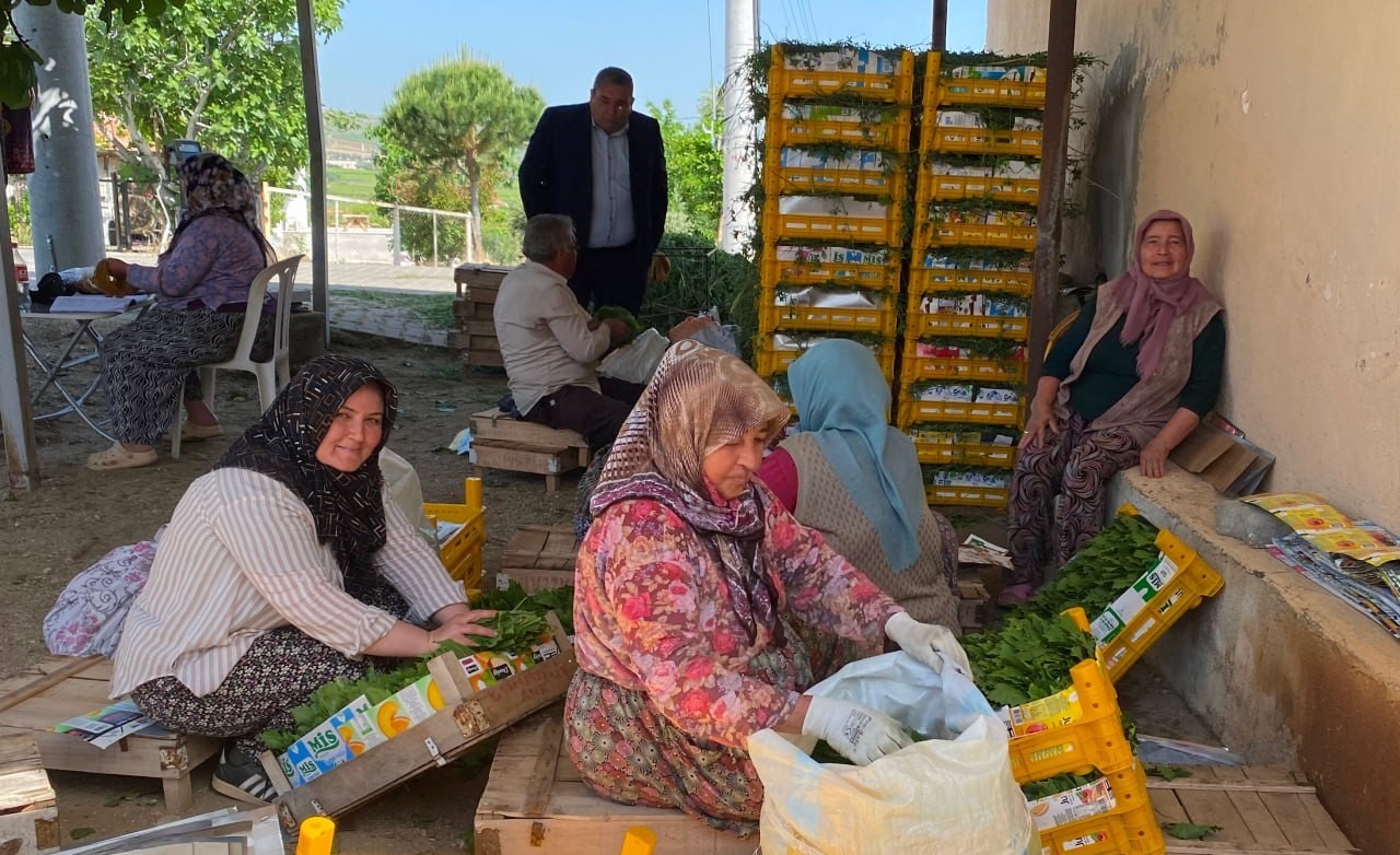 uzumden once yaprak kazandirdi 6 tCwlkwtV