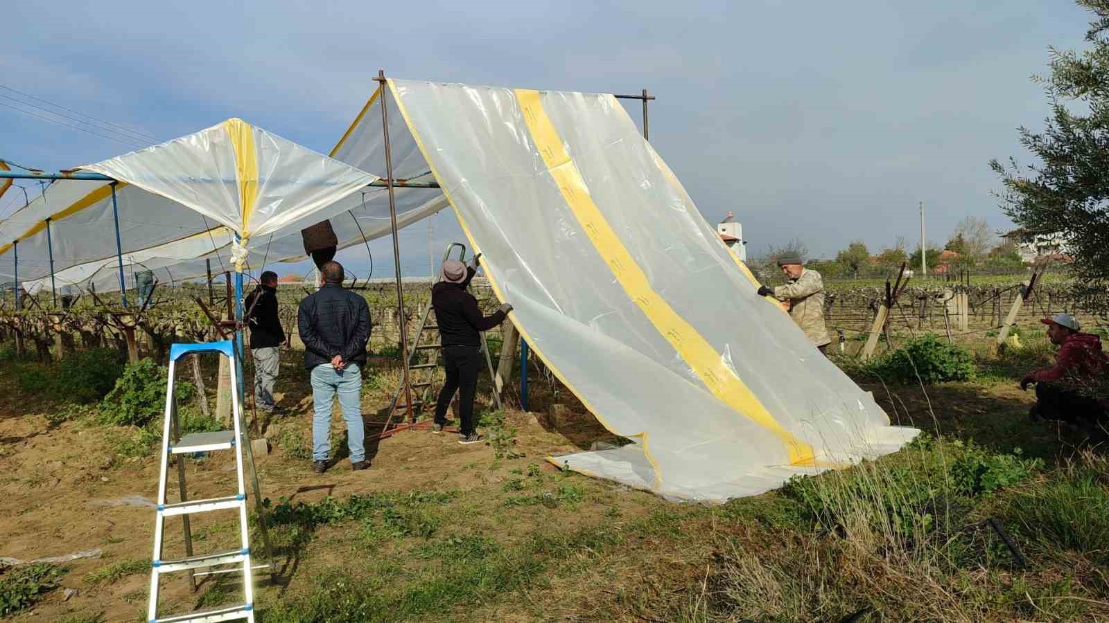 uzumun baskentinde baglar tullerle kaplaniyor 1 bN7AGSQi