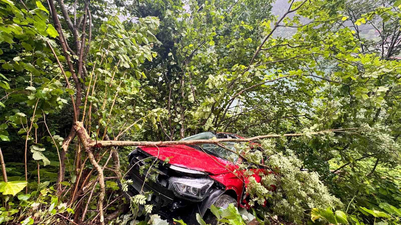 Uzungöl’de seyir terasından araç uçtu: 2 Arap turist yaralı 6 uzungolde seyir terasindan arac uctu 2 arap turist yarali 2 nGihDZ3g
