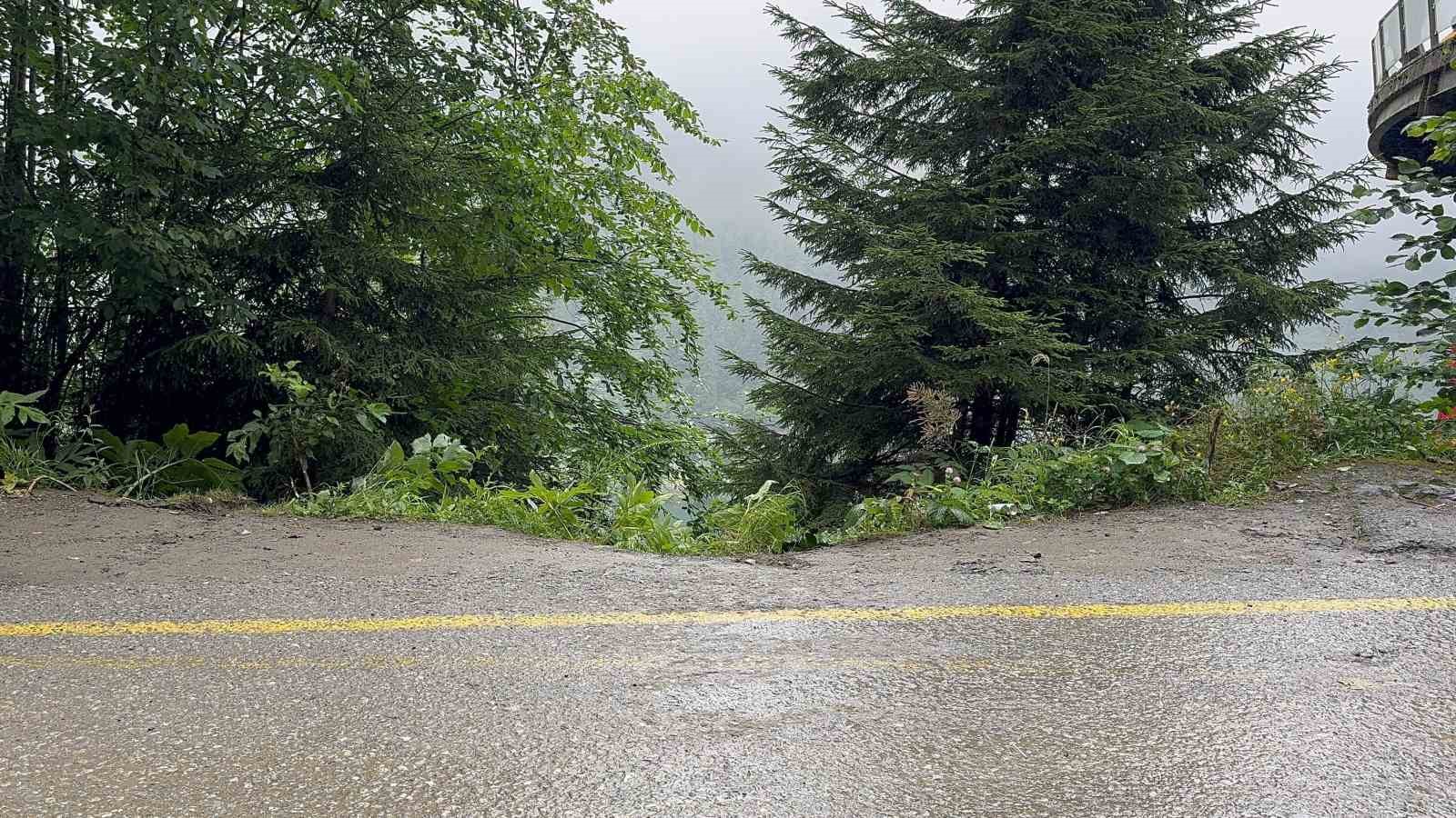 Uzungöl’de seyir terasından araç uçtu: 2 Arap turist yaralı 7 uzungolde seyir terasindan arac uctu 2 arap turist yarali 3 ZIfcssz1