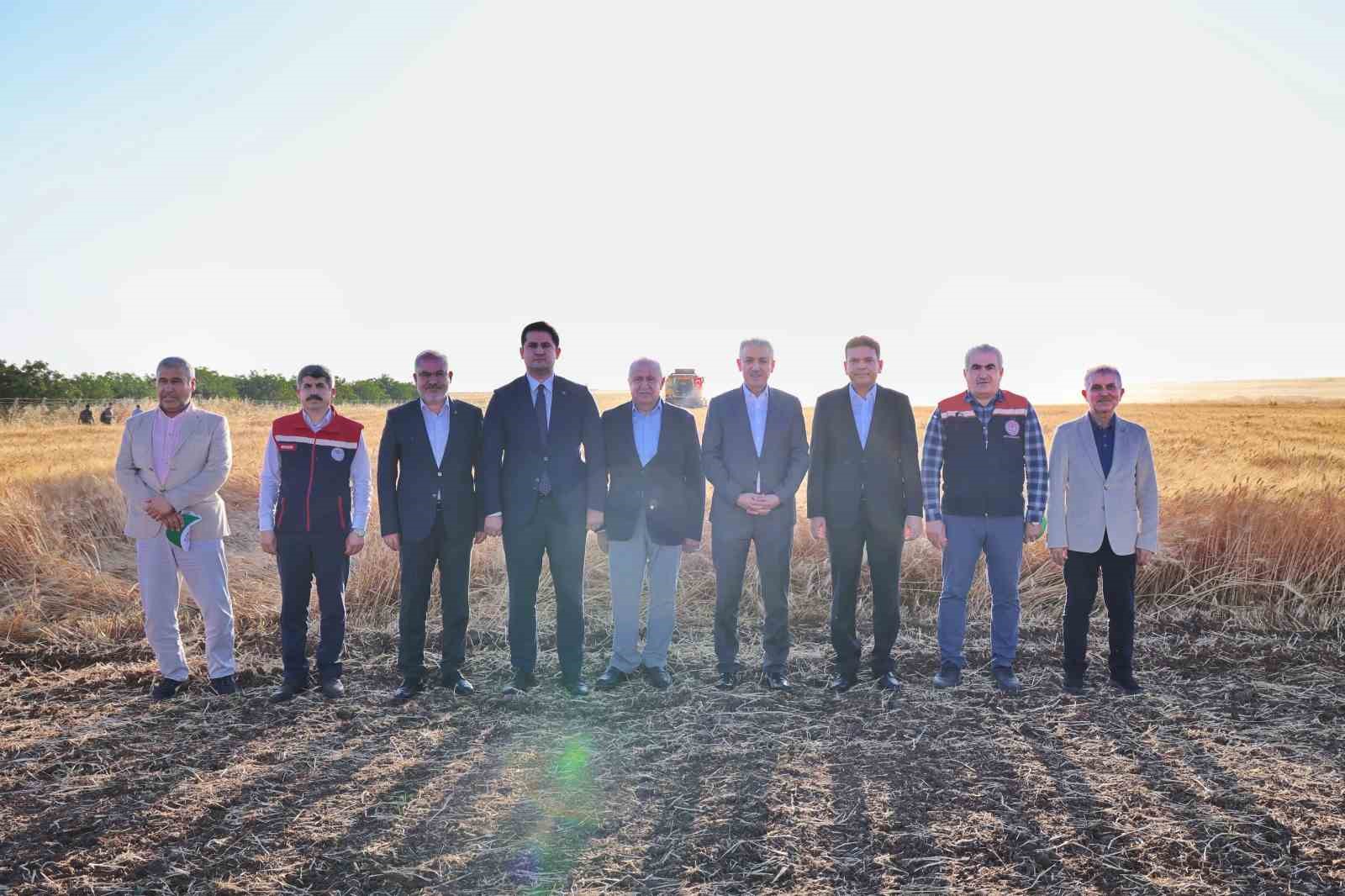 Vali Akkoyun: ’’Mardin’de 1 milyon 279 bin dekarlık alanda buğday ekimi yapıldı’’ 6 vali akkoyun mardinde 1 milyon 279 bin dekarlik alanda bugday ekimi yapildi 2 7M7RTy4A