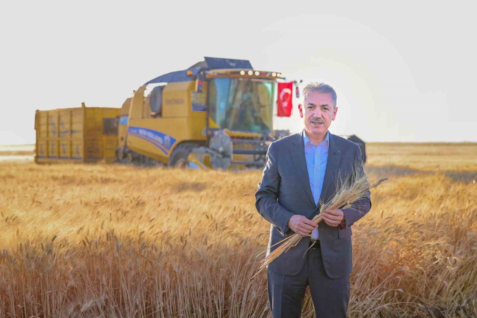 Vali Akkoyun: ’’Mardin’de 1 milyon 279 bin dekarlık alanda buğday ekimi yapıldı’’ 8 vali akkoyun mardinde 1 milyon 279 bin dekarlik alanda bugday ekimi yapildi 4 CFuZk1Eu