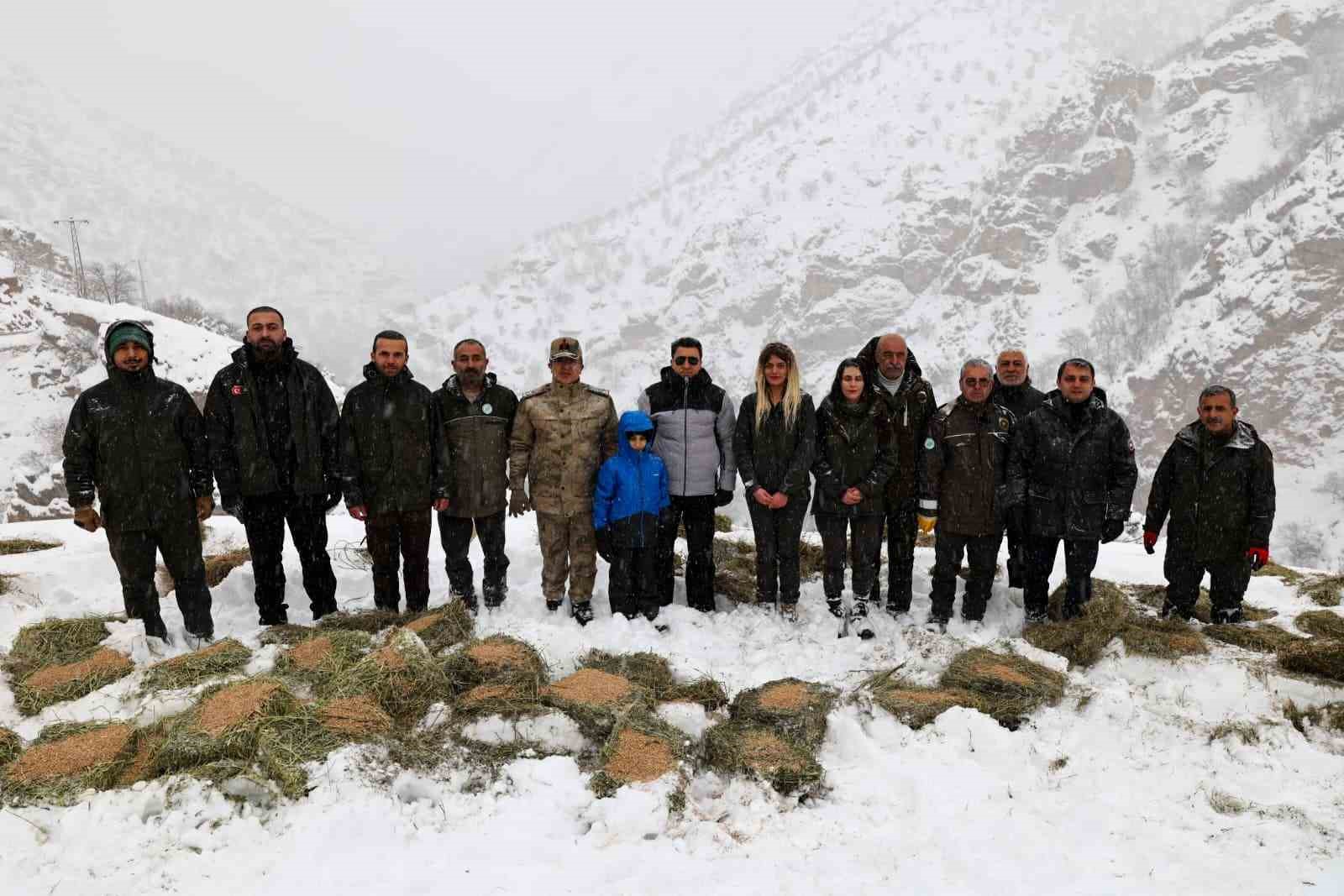 vali aygol yaban hayvanlari icin kollari sivadi 2 GRVlcemp