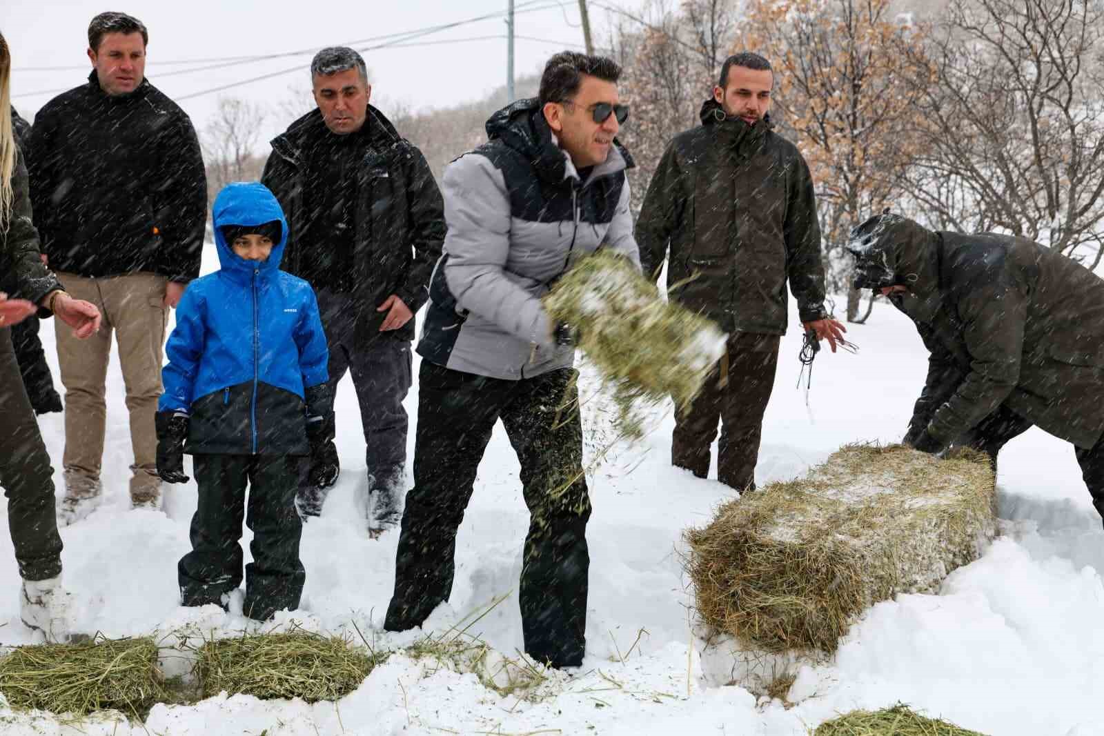 vali aygol yaban hayvanlari icin kollari sivadi 3 37n5hrtq