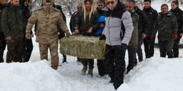 vali-aygol-yaban-hayvanlari-icin-kollari-sivadi-Lc6asWO5.jpg