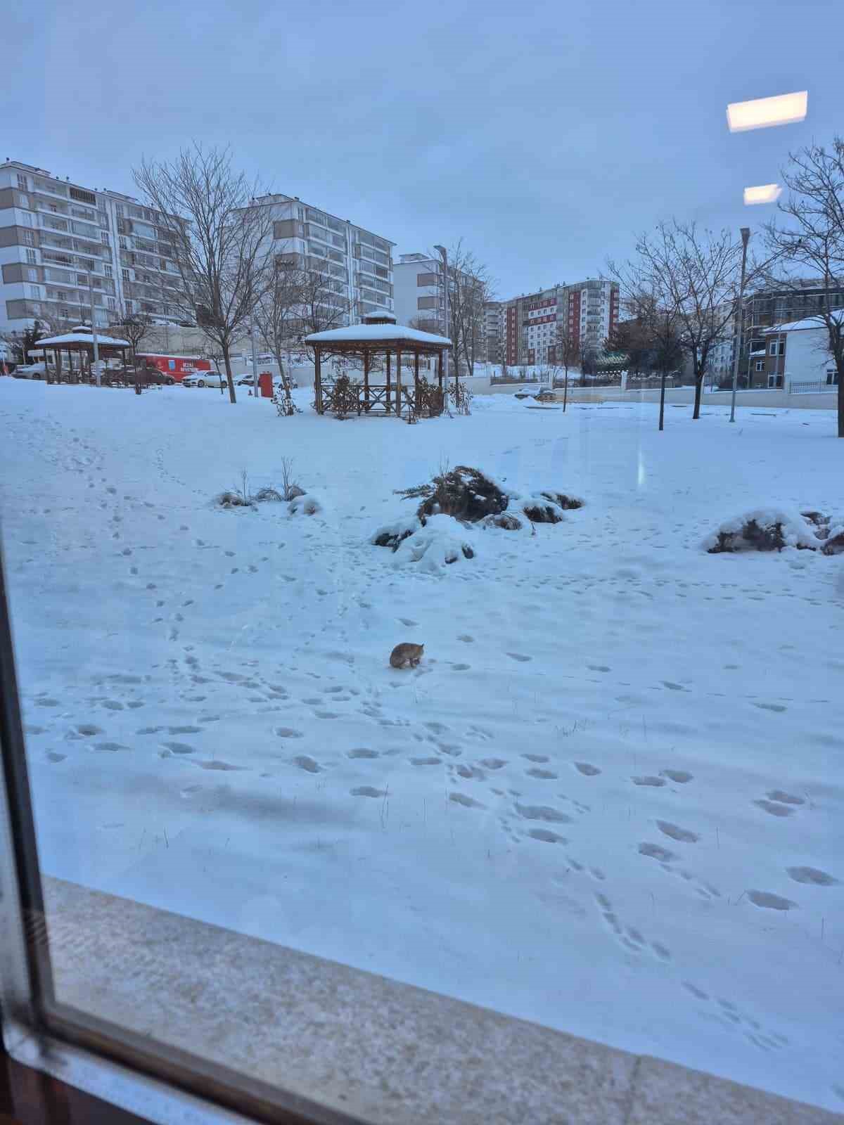 valilik bahcesindeki davetsiz misafir gulumsetti 3 FJESGs8z