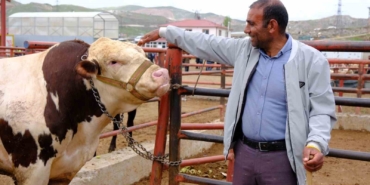 van-canli-hayvan-pazarinda-kurban-bayrami-hareketliligi-basladi-HayXhde2.jpg