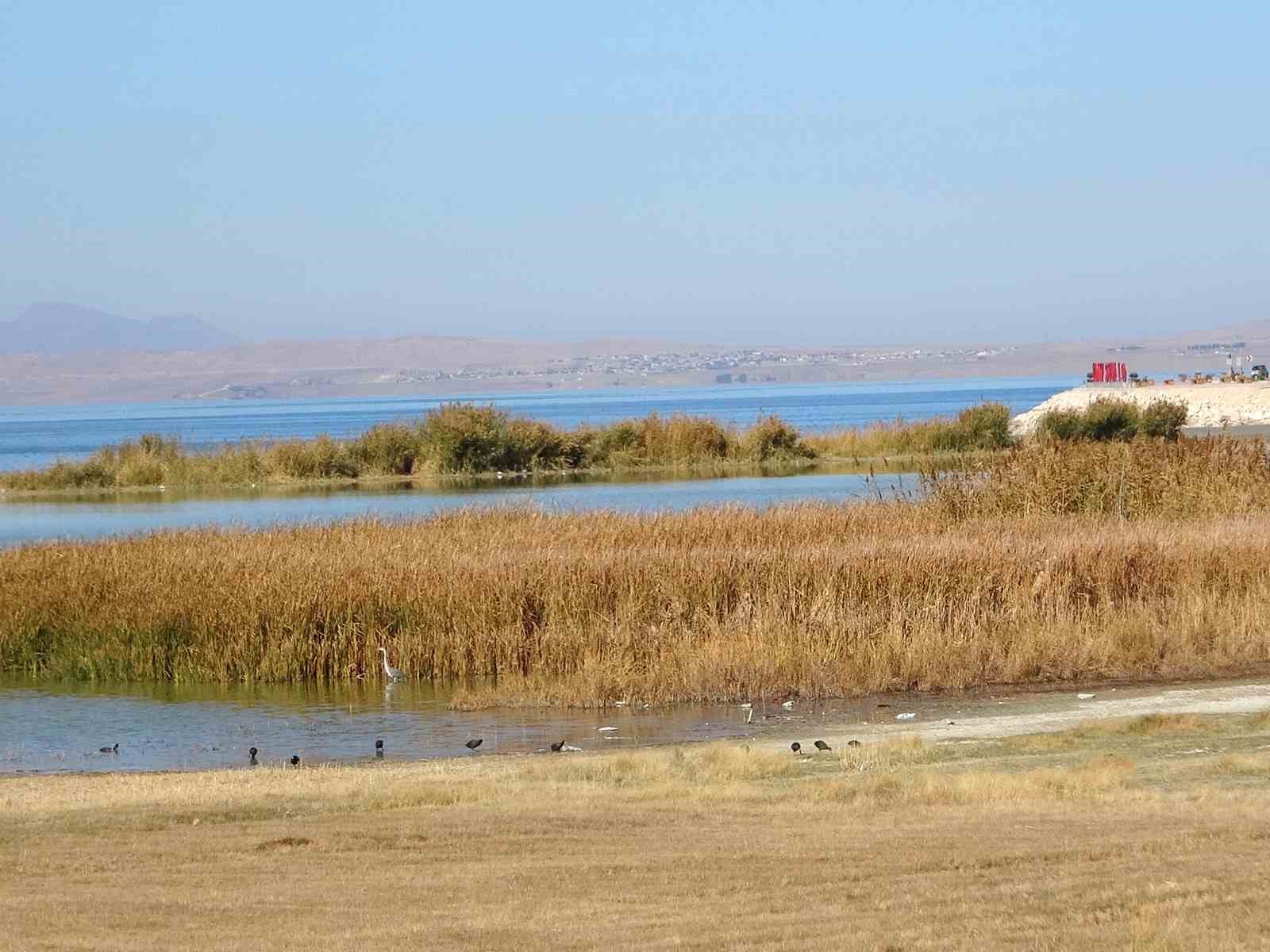 van golu havzasi turkiyenin en fazla sulak alanina ev sahipligi yapiyor 3