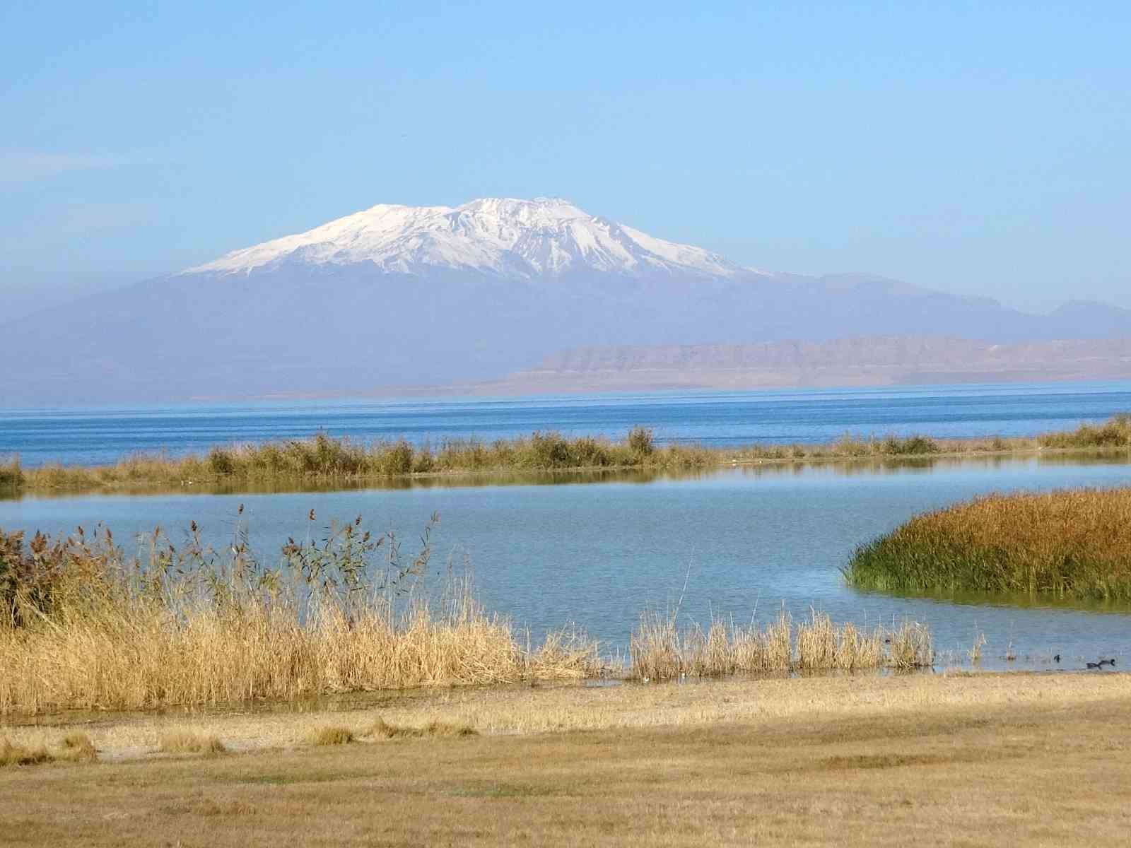 van golu havzasi turkiyenin en fazla sulak alanina ev sahipligi yapiyor 7