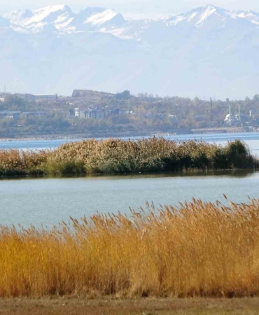 van-golu-havzasi-turkiyenin-en-fazla-sulak-alanina-ev-sahipligi-yapiyor-yN4ZHags.jpg