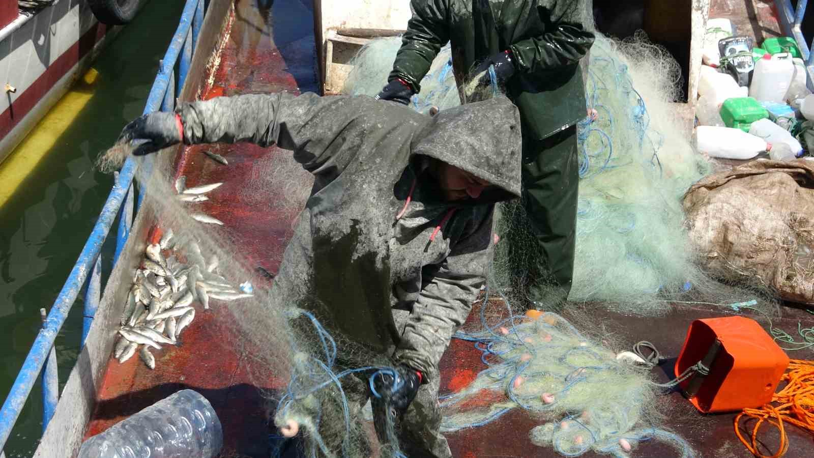 van golunde inci kefali icin av yasagi kacak avlanmanin cezasi 16 bin tl 4 rVBtRrG5