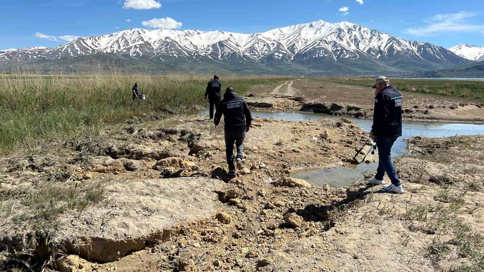 Van Gölü’nün "gümüş" balıkları ekiplere emanet 9 van golunun gumus baliklari ekiplere emanet 5 kUvLdafe