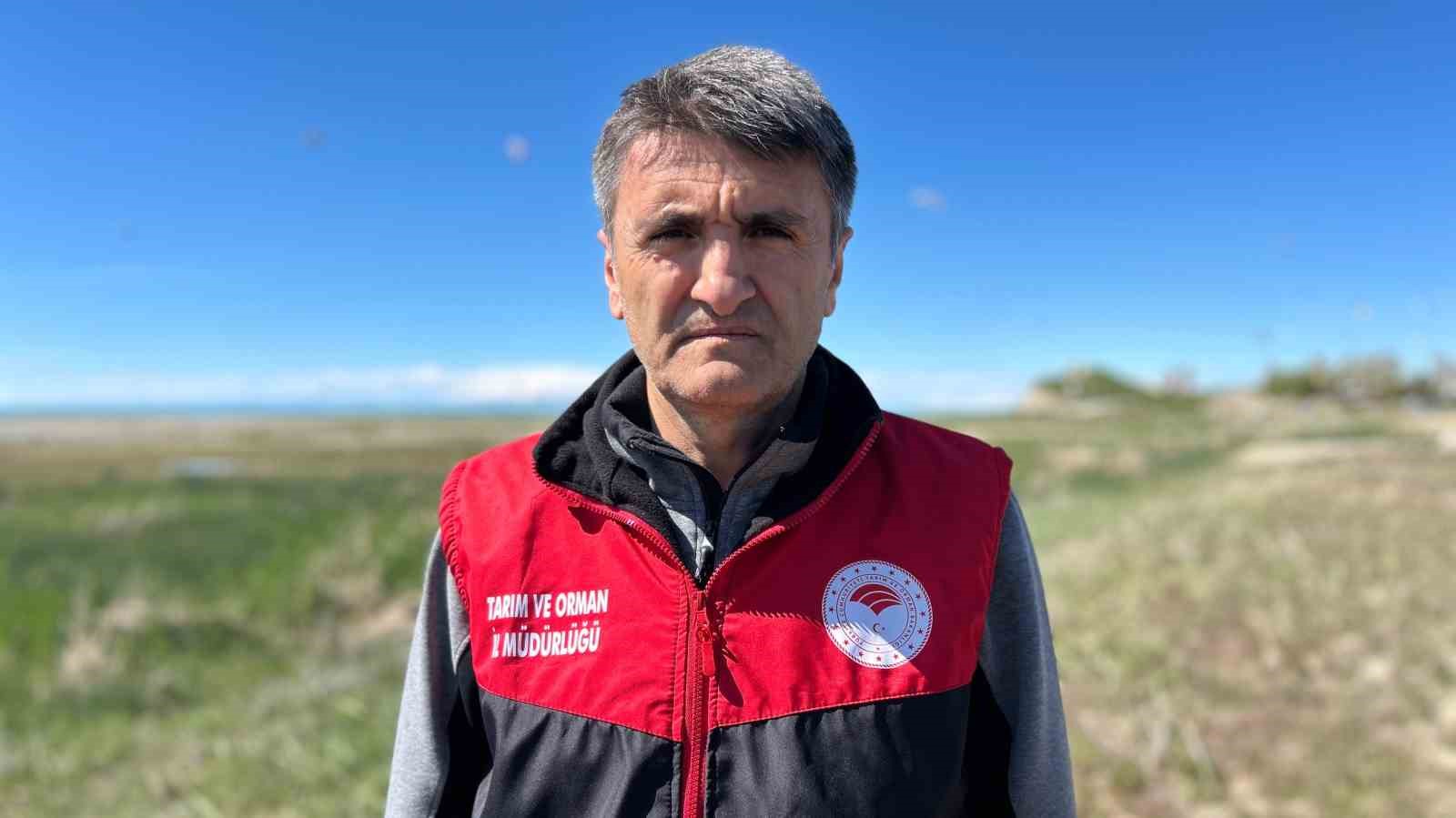 Van Gölü’nün "gümüş" balıkları ekiplere emanet 11 van golunun gumus baliklari ekiplere emanet 7 HyrDiJVD