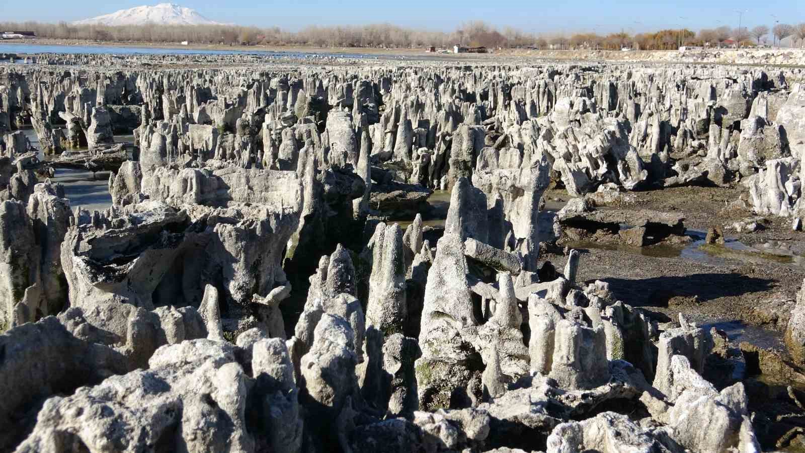 van golunun mikrobiyalitleri guinness icin on elemeyi gecti 7 kr2K8SLV