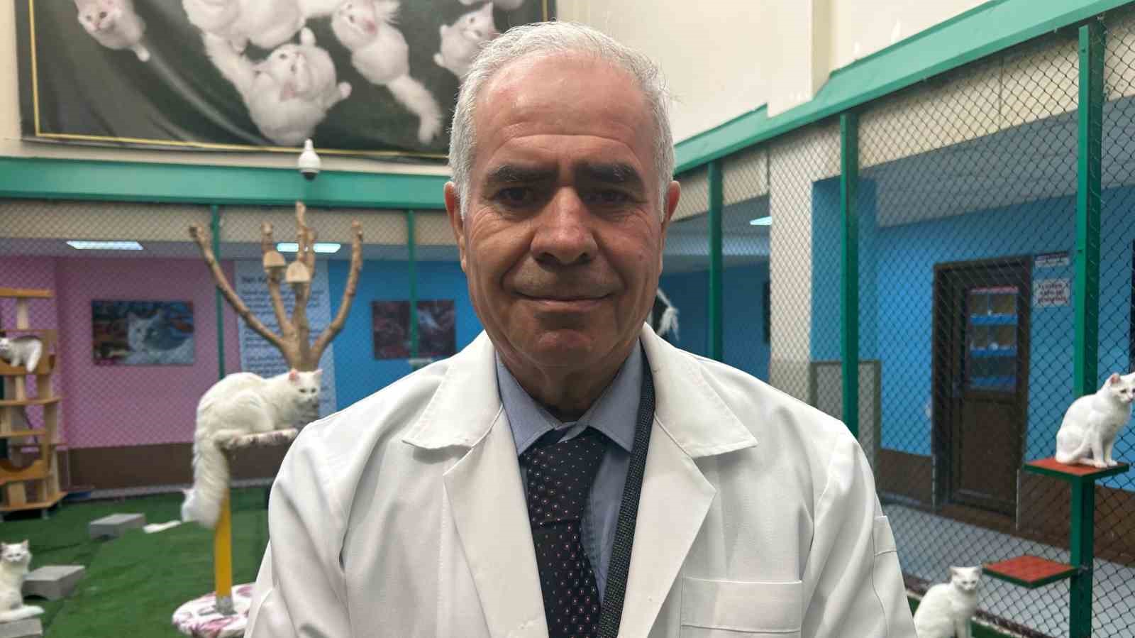 van kedi villasinda bu yil 120 yavru dunyaya geldi 5 YRXPIi2y