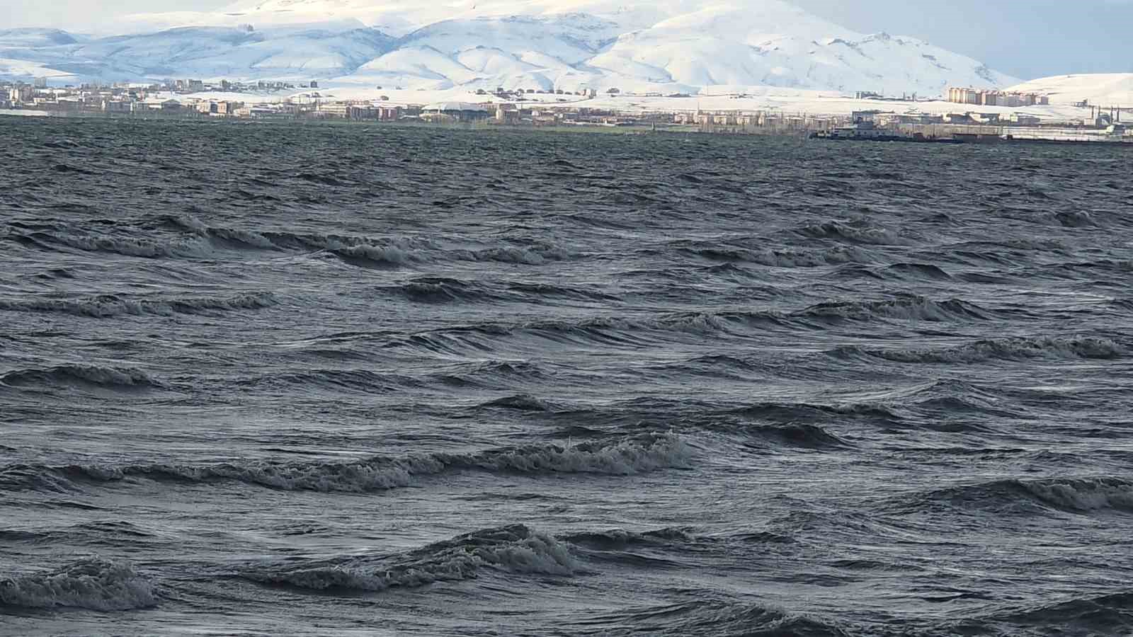 Van YYÜ Su Ürünleri Fakültesi Dr. Öğretim Üyesi Mustafa Akkuş: "Bu yıl yüzleri güldürecek bir tablo mevcut" 7 van yyu su urunleri fakultesi dr ogretim uyesi mustafa akkus bu yil yuzleri guldurecek PYmmIgvQ