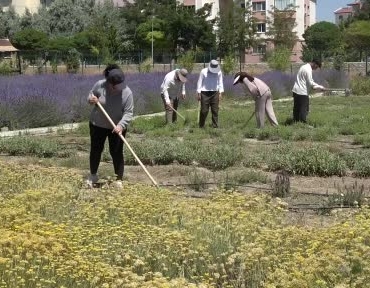 van-yyudeki-300-tur-bitkinin-bulustugu-bahce-ziyaretcilerini-mest-ediyor-iXiFscuY.jpg
