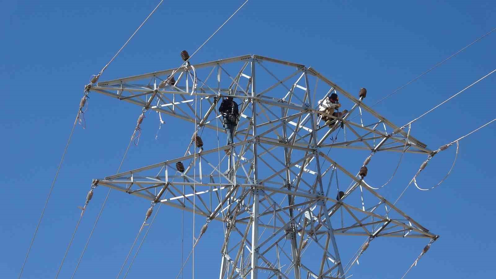 vanda 31 kilometrelik enerji hatti tamamlandi calismalarda yabani kuslar gozetildi 2 phJz1Mv1