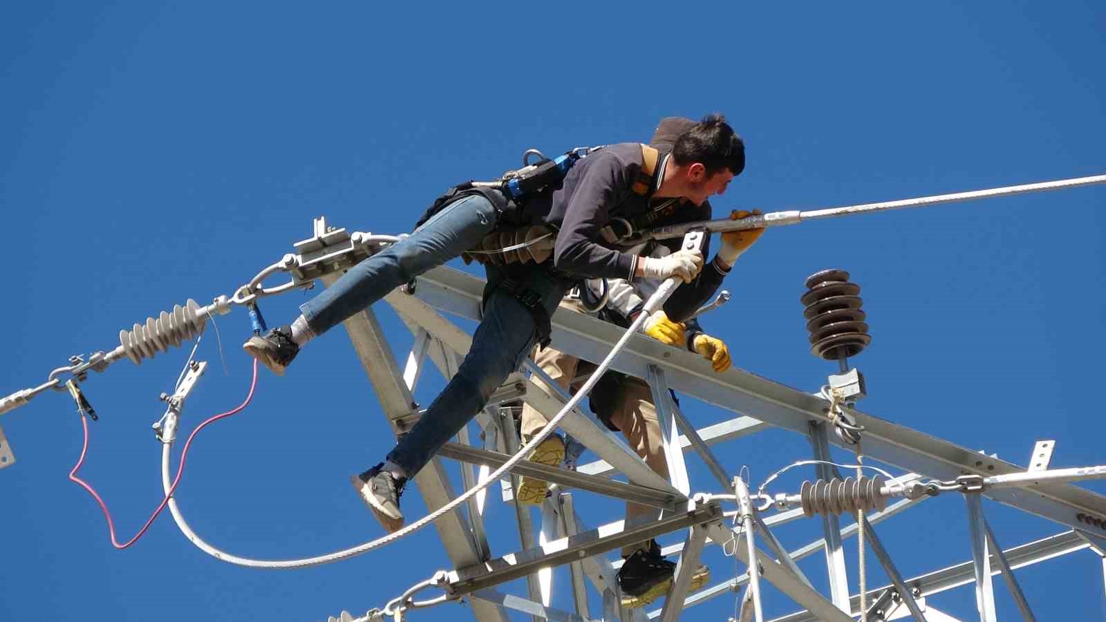 vanda 31 kilometrelik enerji hatti tamamlandi calismalarda yabani kuslar gozetildi 4 hXXcpaiQ