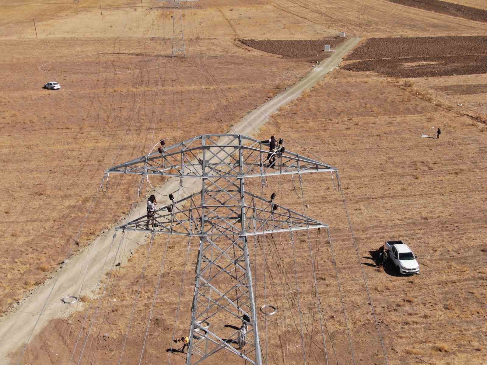 vanda 31 kilometrelik enerji hatti tamamlandi calismalarda yabani kuslar gozetildi 6 HSqLZ5R2