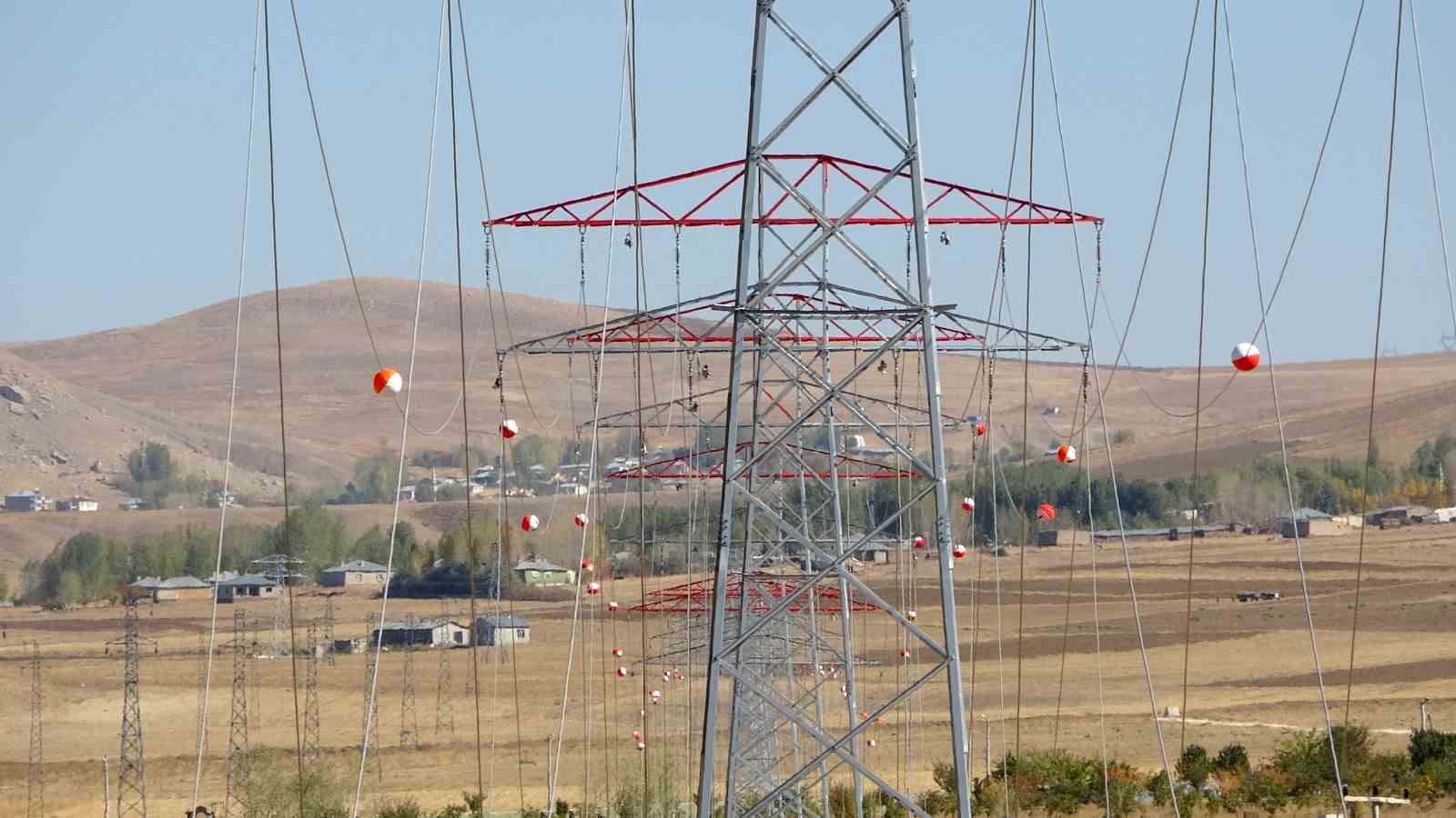 vanda 31 kilometrelik enerji hatti tamamlandi calismalarda yabani kuslar gozetildi 7 46MJWhQ2