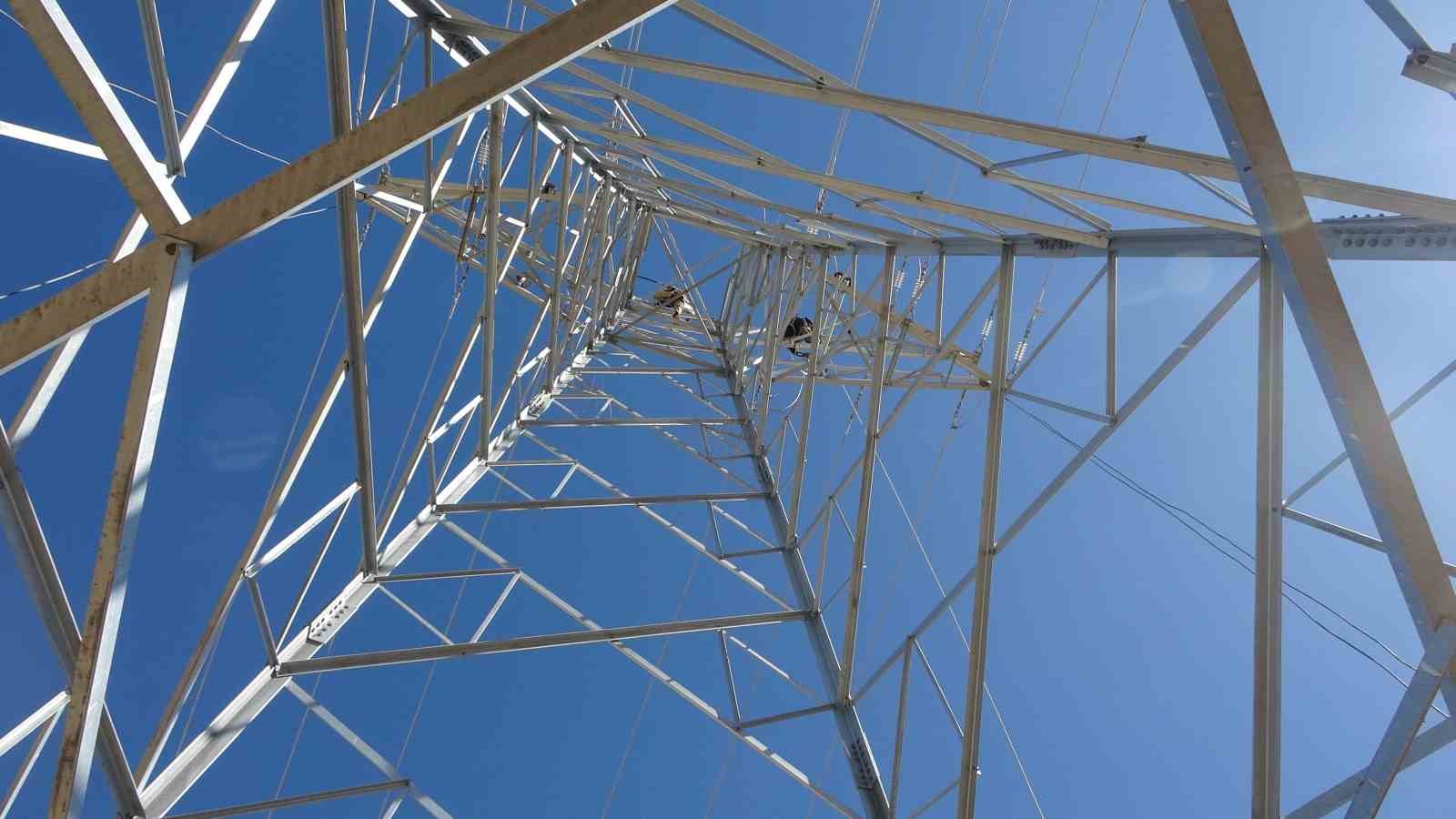 vanda 31 kilometrelik enerji hatti tamamlandi calismalarda yabani kuslar gozetildi 8 5dVesAga