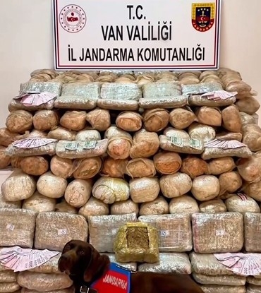 vanda-333-kilo-skunk-ele-gecirildi-CAIdgdLq.jpg