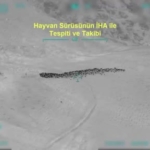 vanda-800-kucukbas-hayvanin-yagmalanmasina-yonelik-iha-destekli-operasyon-4-gozalti-HzGE73sE.jpg