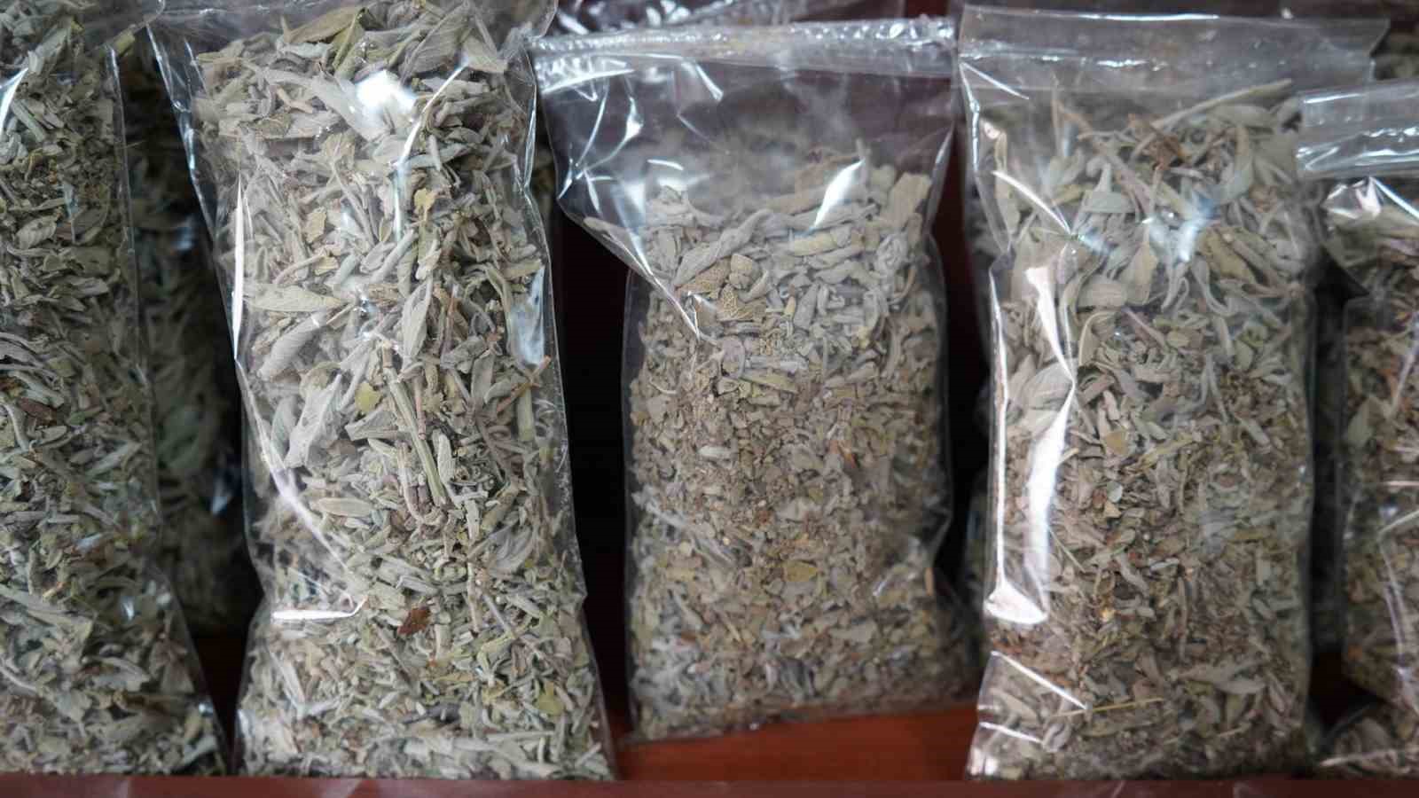 vanda bahar gecisi aktarlara ilgiyi artirdi 3 qfYt8BZs